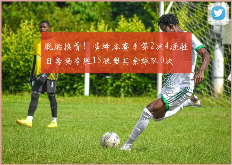 脱胎换骨！黄蜂本赛季第2次4连胜且每场净胜15联盟其余球队0次
